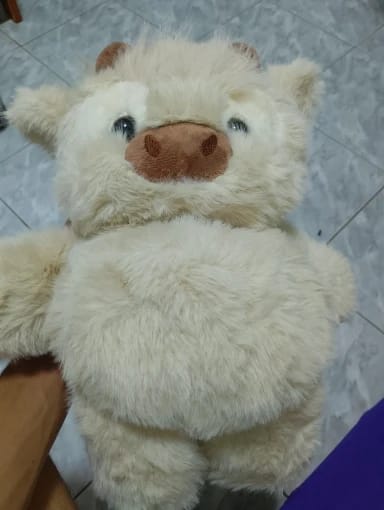 Customer photo review of MooDash BoopJoy – La vaquita de peluche que corre