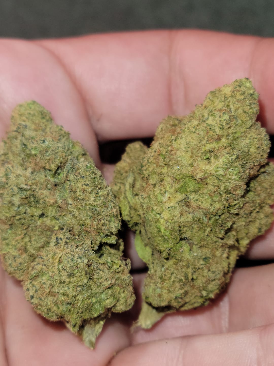 Customer photo review of Strawberry Cough THCA Flower
