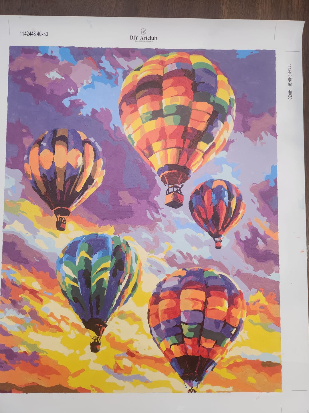 Customer photo review of Colorful Air Balloons | Paint by Number