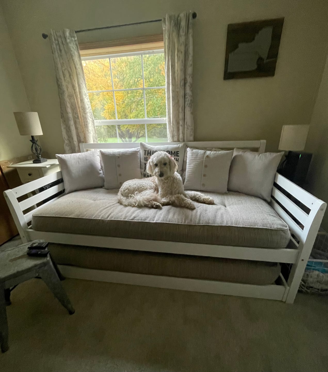 Customer photo review of Floral Lined Linen Blend Curtains (2 Panels)