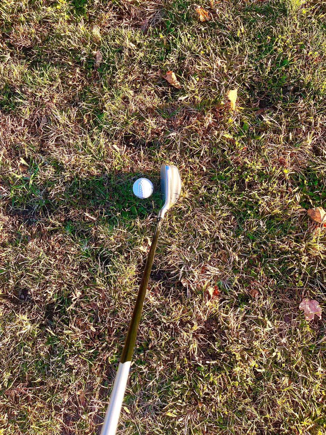 Customer photo review of Hot Launch Max D Ironwoods