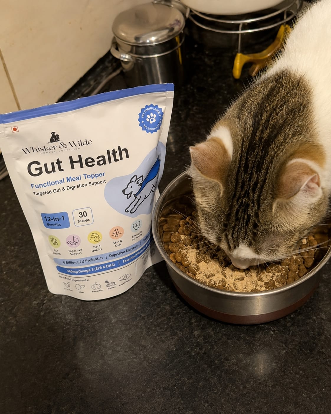Customer photo review of Gut Health Cat Topper · 6 Billion CFU Probiotics for Loose Stools, Hairballs & Sensitive Stomachs