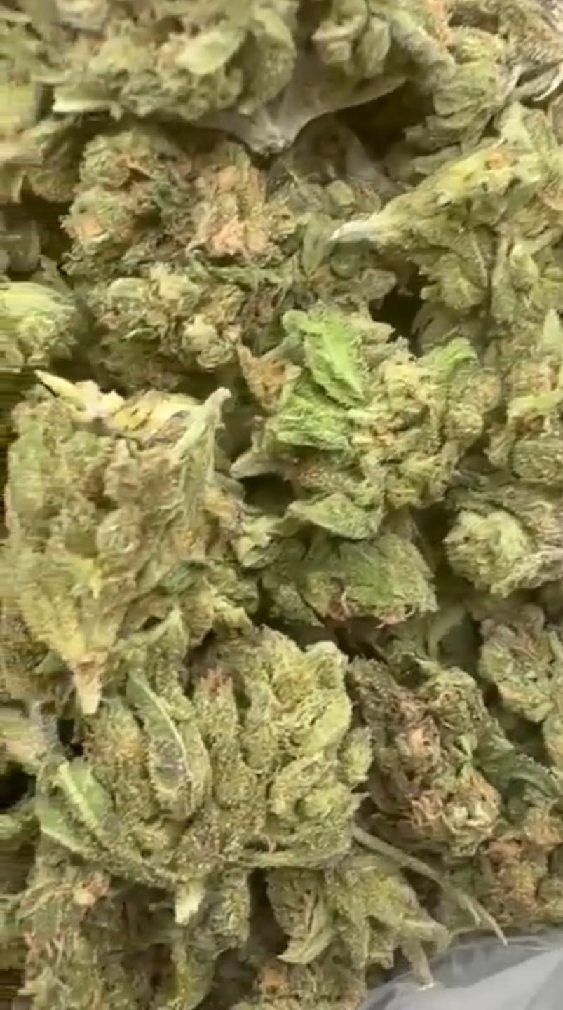 Customer photo review of Pink Certz Minis - Bulk Minis - Indica