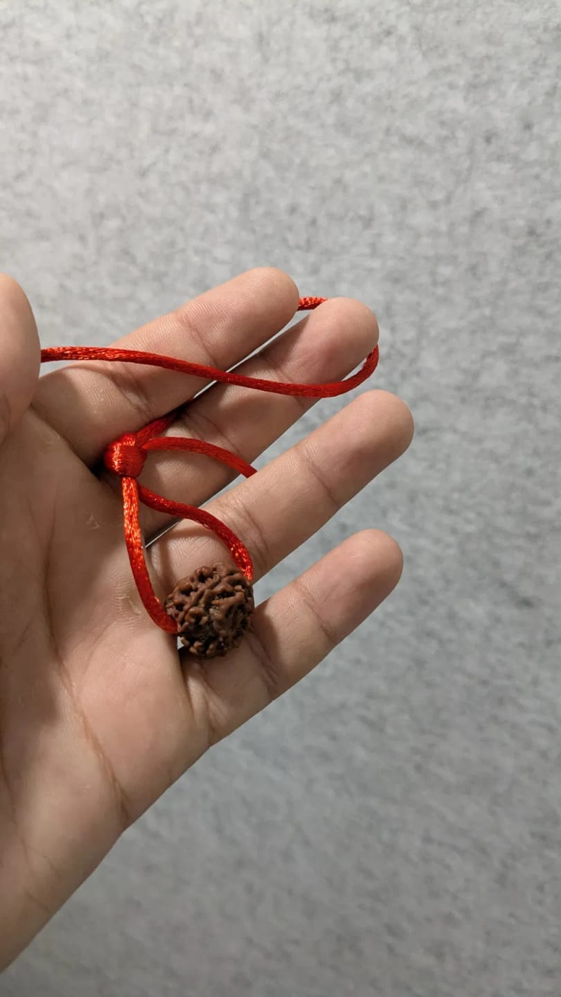 Customer photo review of Nepal Origin 3 Mukhi Rudraksha – 100% Natural & Certified