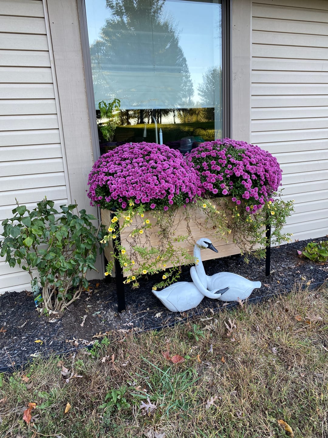 Customer photo review of 18″ x 48″ Deep Root Raised Garden Bed - 30″ TALL - Select Grade