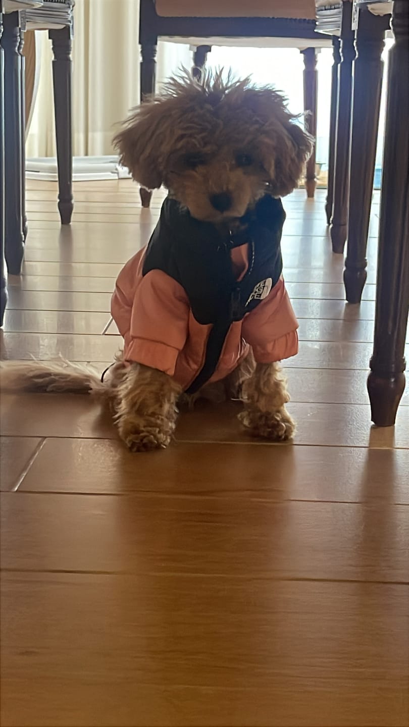 Customer photo review of The Dog Face Piumino