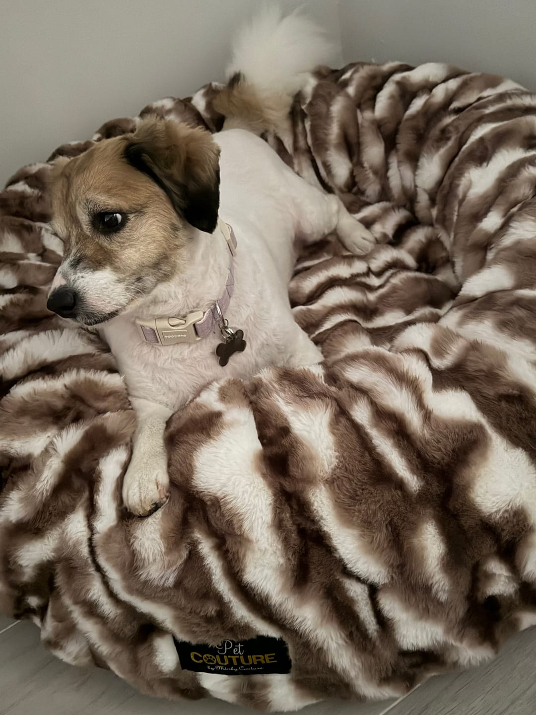 Customer photo review of Cloudy Day Brown Pet Bed