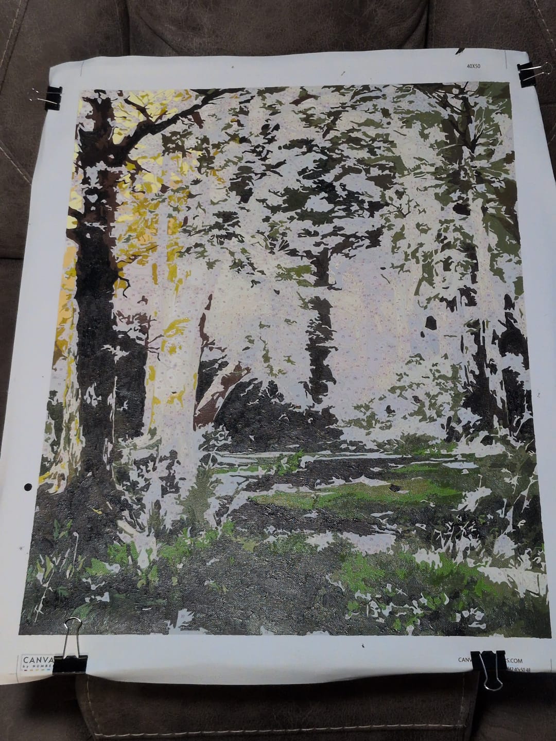 Customer photo review of Forest Scene