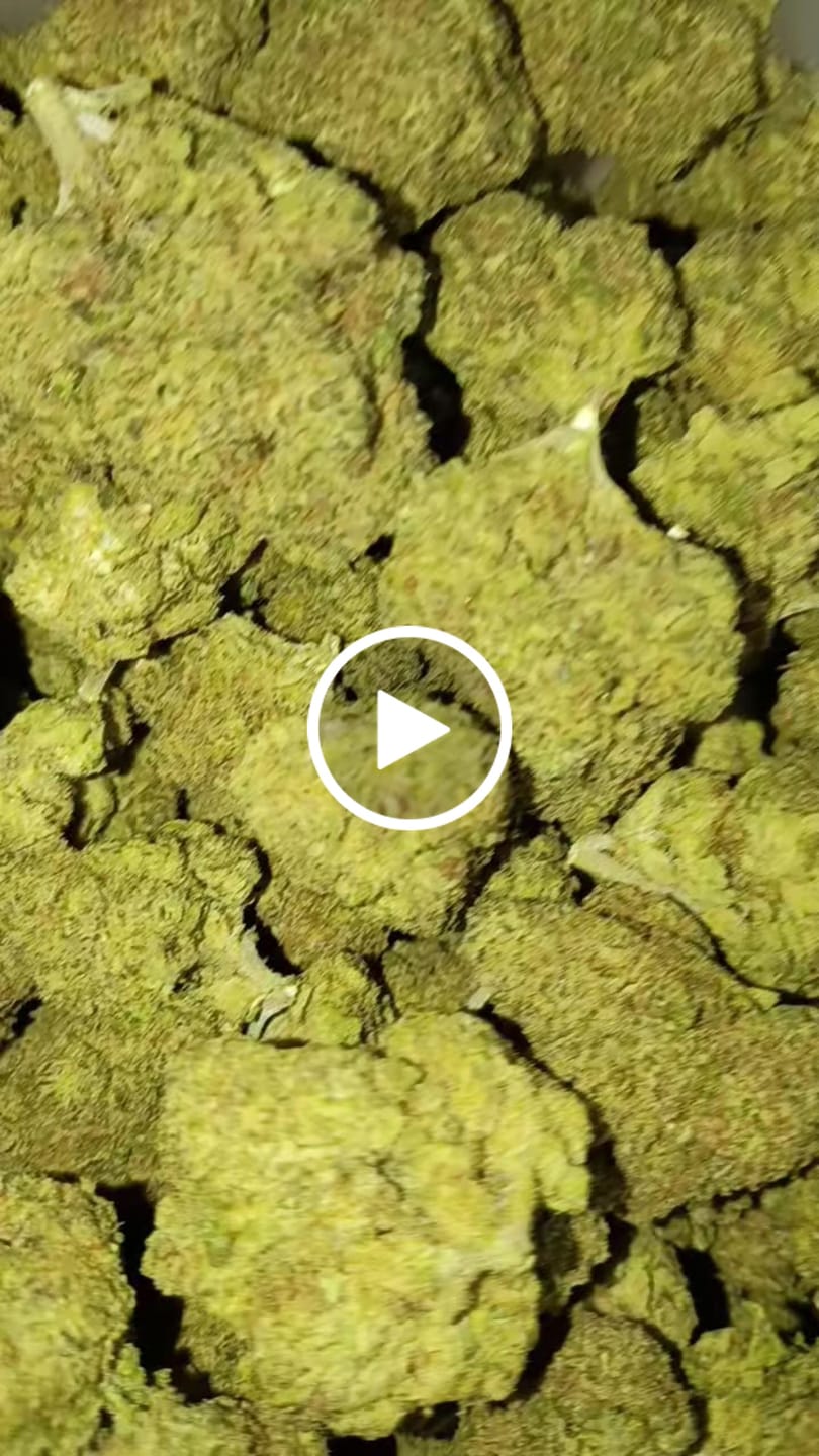 Customer video review of Light Assist THCA Smalls
