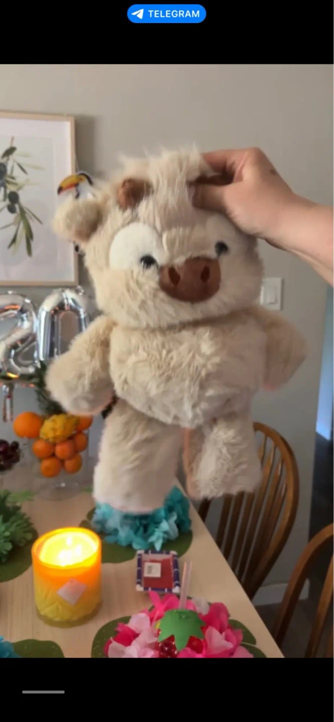 Customer photo review of MooDash BoopJoy – La vaquita de peluche que corre
