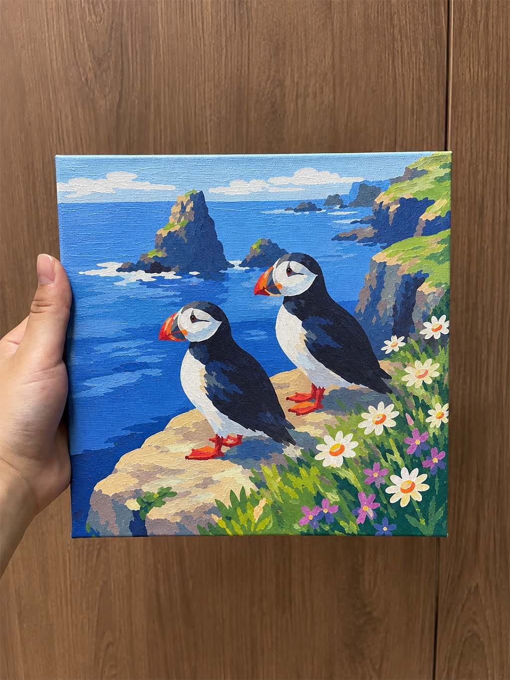 Customer photo review of Mini Peinture par Numéros 20x20cm avec cadre Macareux sur les falaises océaniques