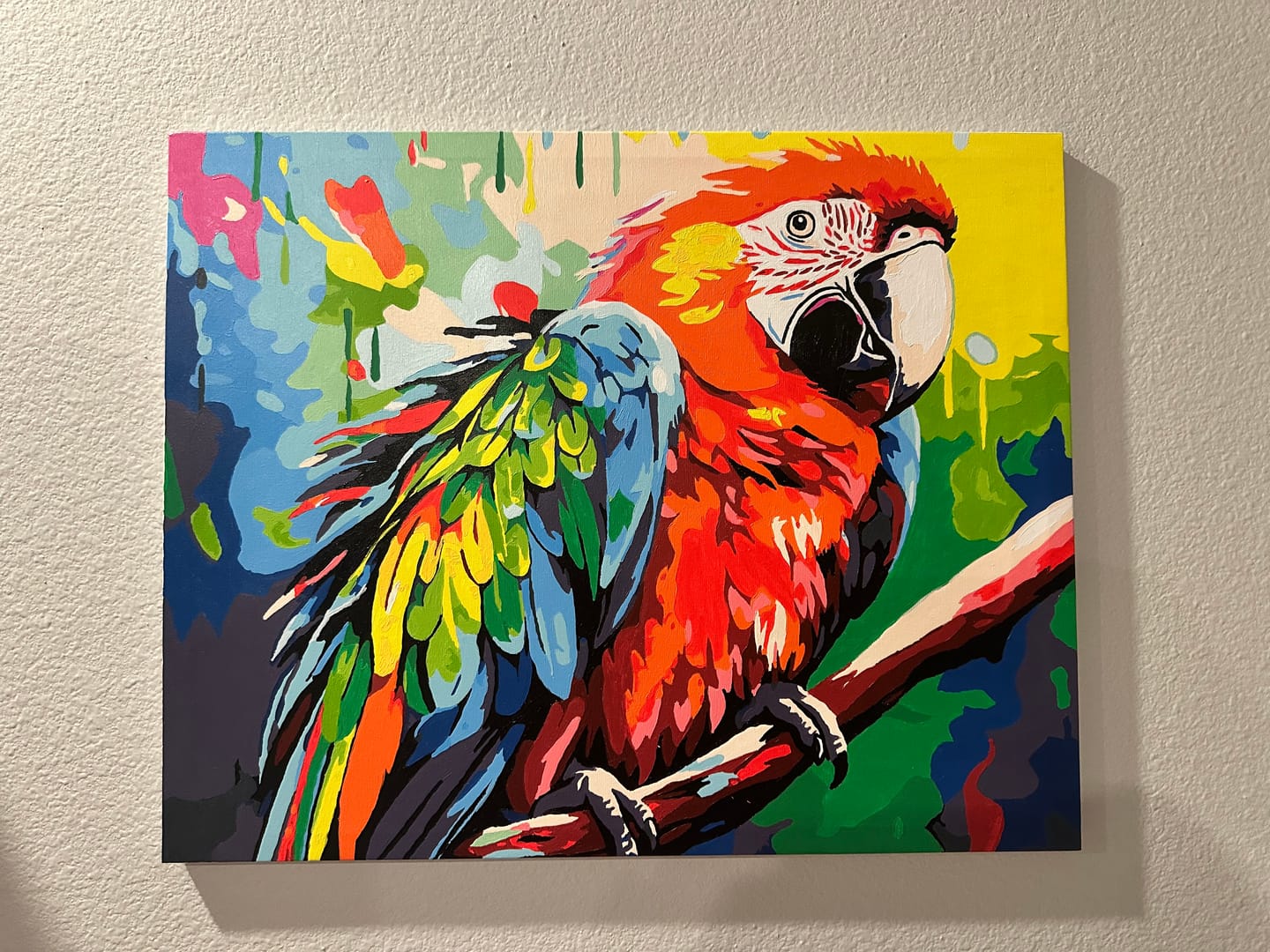 Customer photo review of Scarlet Macaw
