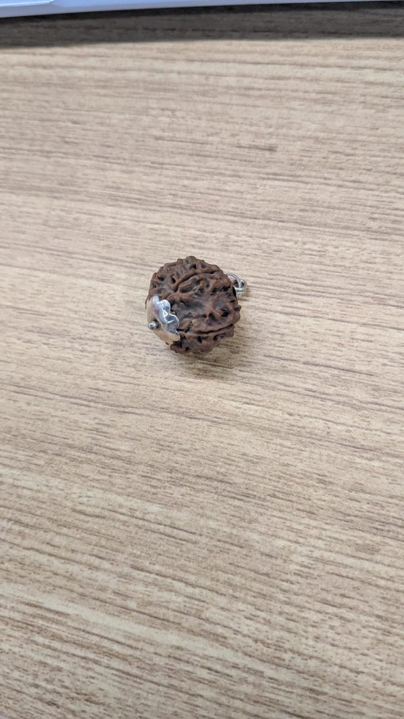 Customer photo review of Nepal Origin 6 Mukhi Rudraksha – 100% Natural & Certified