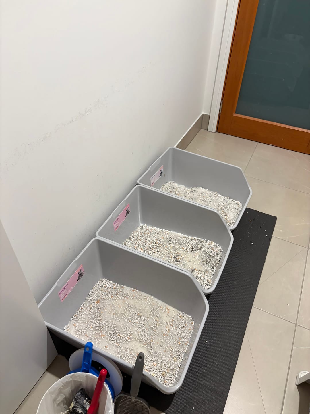 Customer photo review of Fit Litter ECO