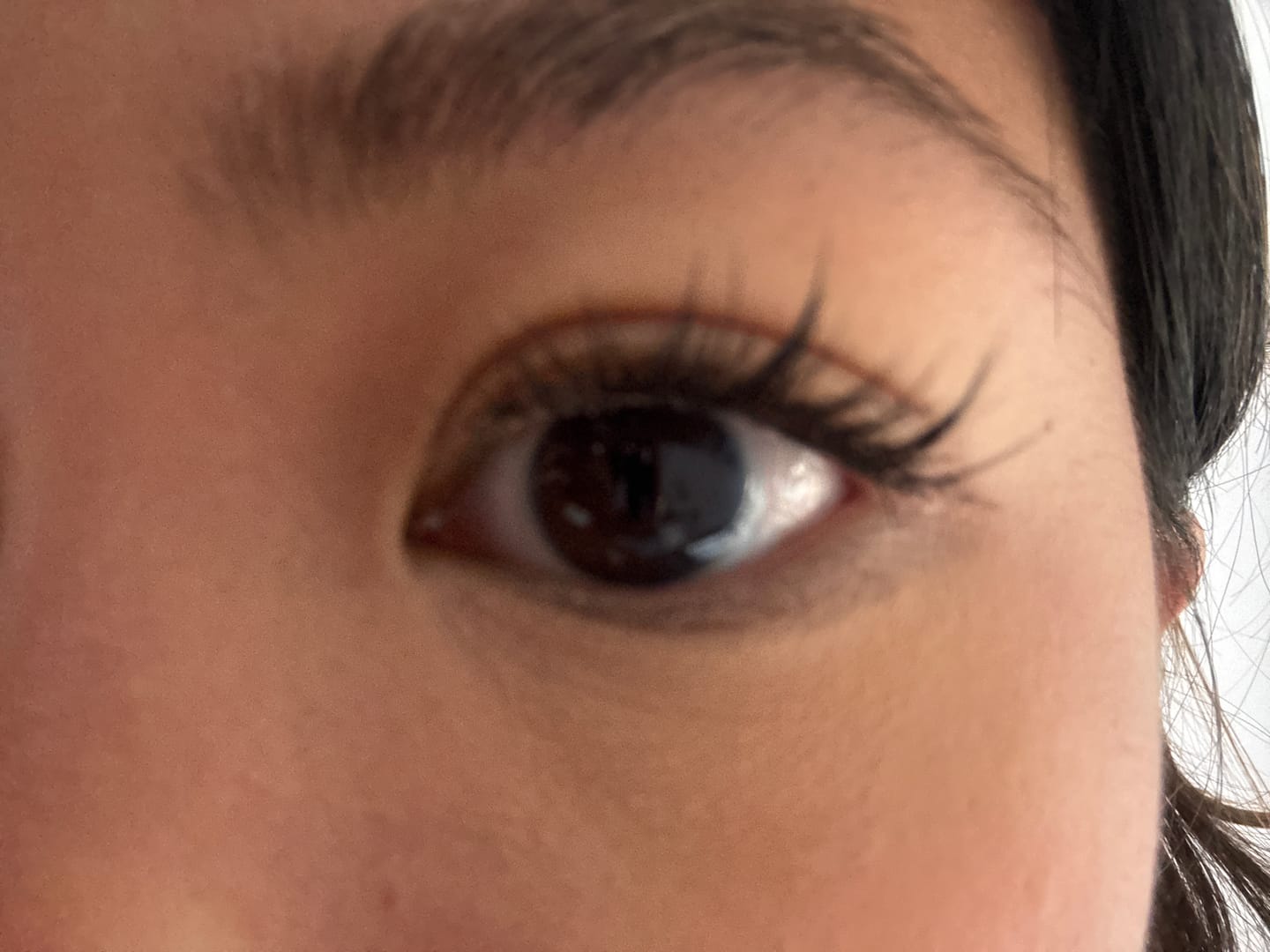 Customer photo review of LuxeBold