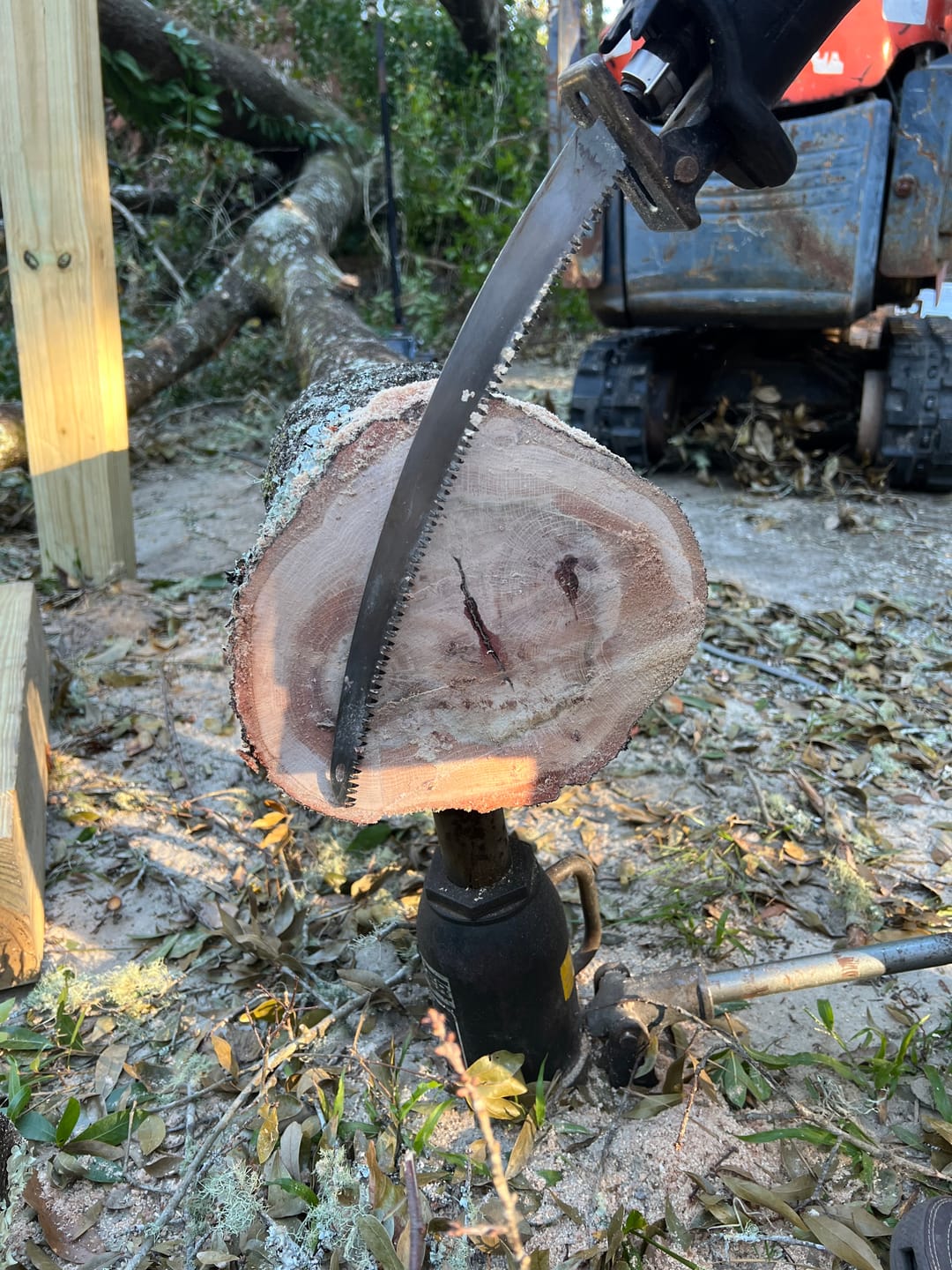 Customer photo review of Tree Trimming/Wood Cutting – Japanese Teeth Arc Edge 6 TPI Reciprocating Saw Blade