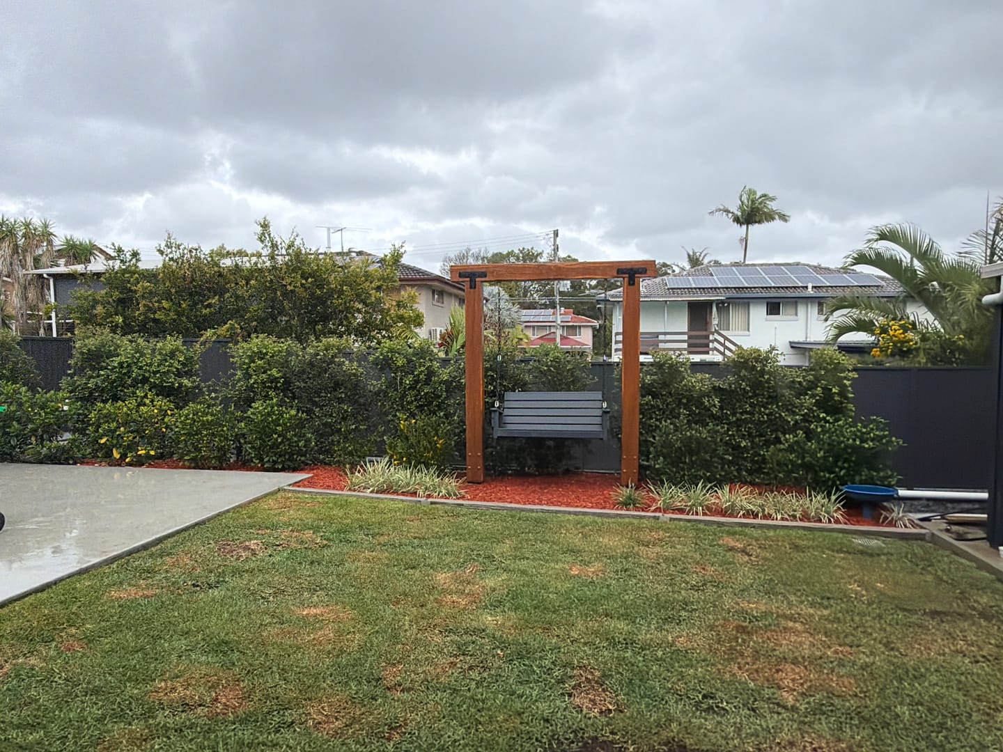 Customer photo review of White Lace Melaleuca - Melaleuca thymifolia 'White Lace'