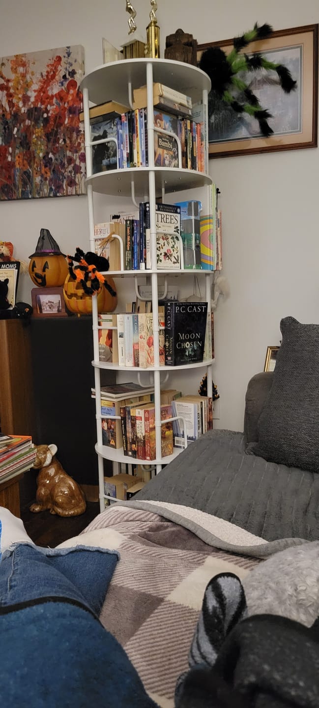 Customer photo review of Flycity 3-5 Tier Rotating Bookshelf With 360° Spinning Display