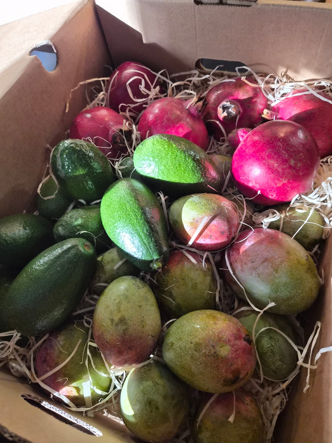 Customer photo review of Mini Mango-Avocado-Granatapfel Bio Rettungsaktion % 4kg