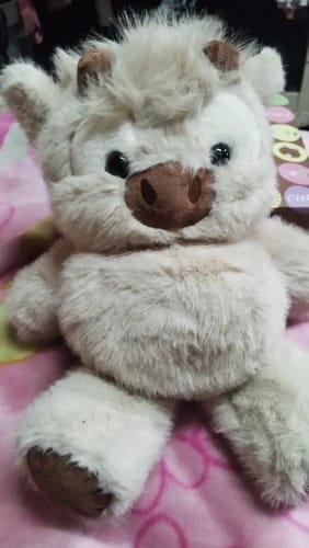 Customer photo review of MooDash BoopJoy – La vaquita de peluche que corre