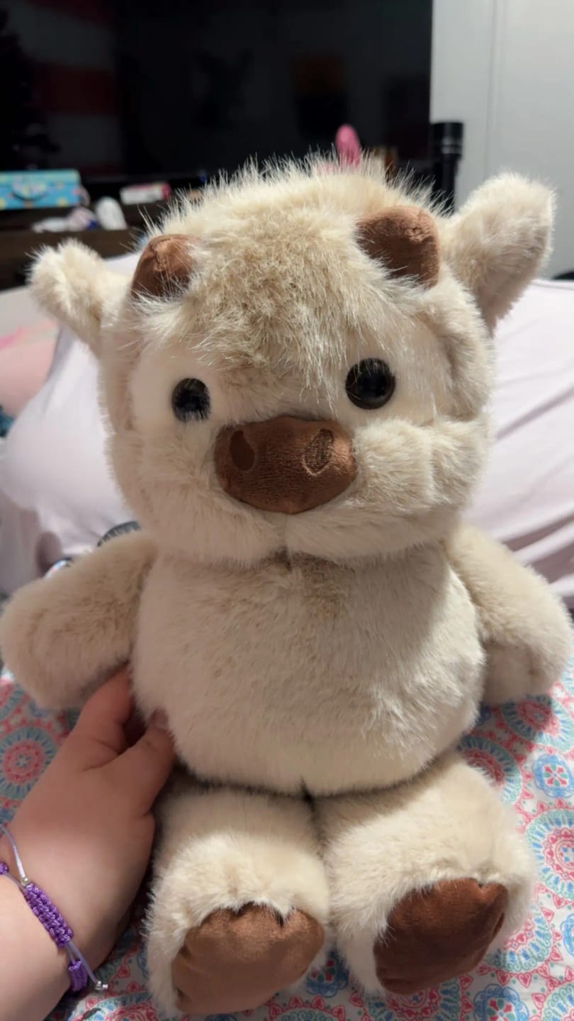 Customer photo review of MooDash BoopJoy – La vaquita de peluche que corre