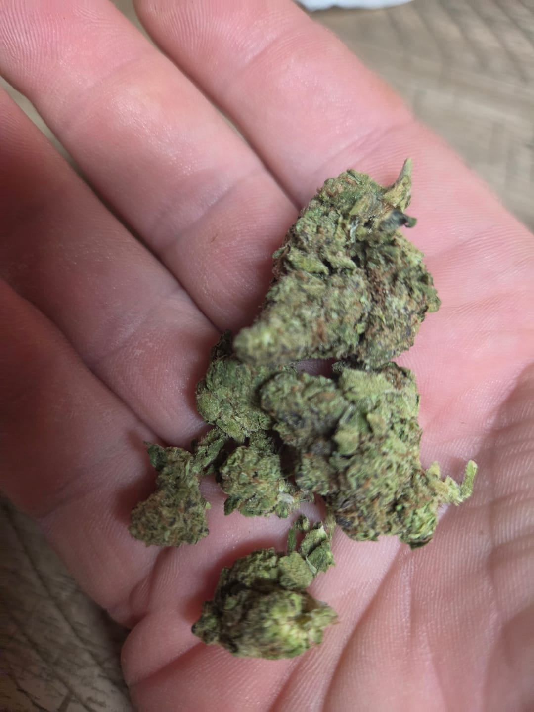 Customer photo review of Khalifa Kush THCA Flower