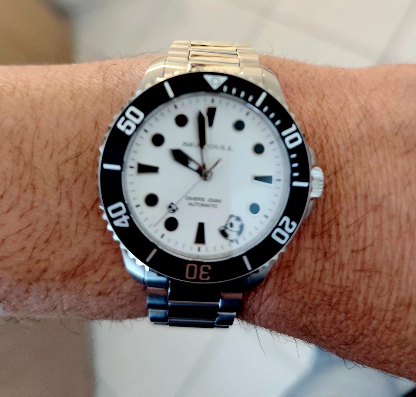 Customer photo review of Dive | Rolling Panda | 200m Waterproof | 41mm