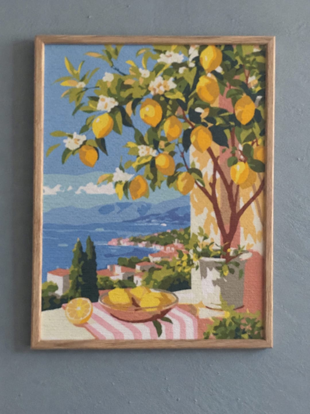 Customer photo review of Coffret Peinture par numéros - Citrons d'Été