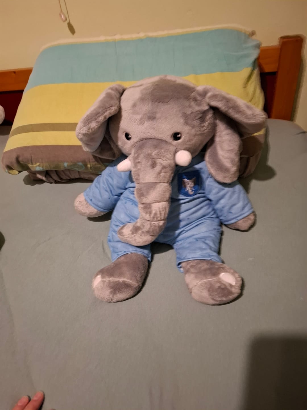 Customer photo review of Olifant Kleding Origineel Lotgenootje