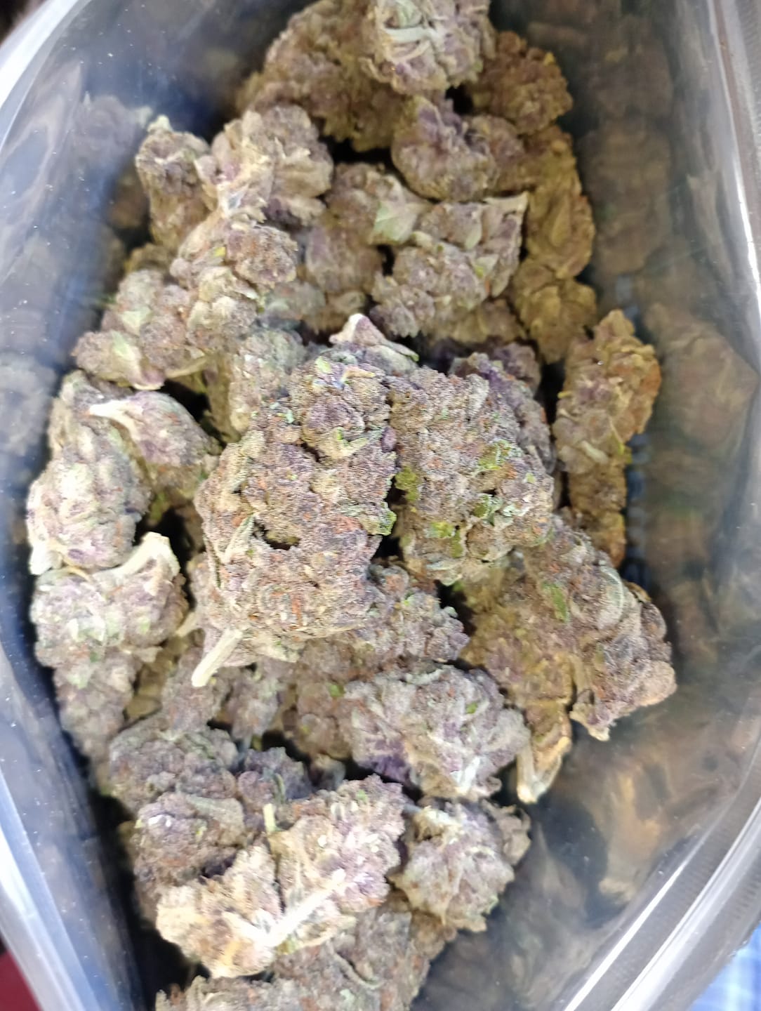 Customer photo review of Tropicana Cherry THCA Flower
