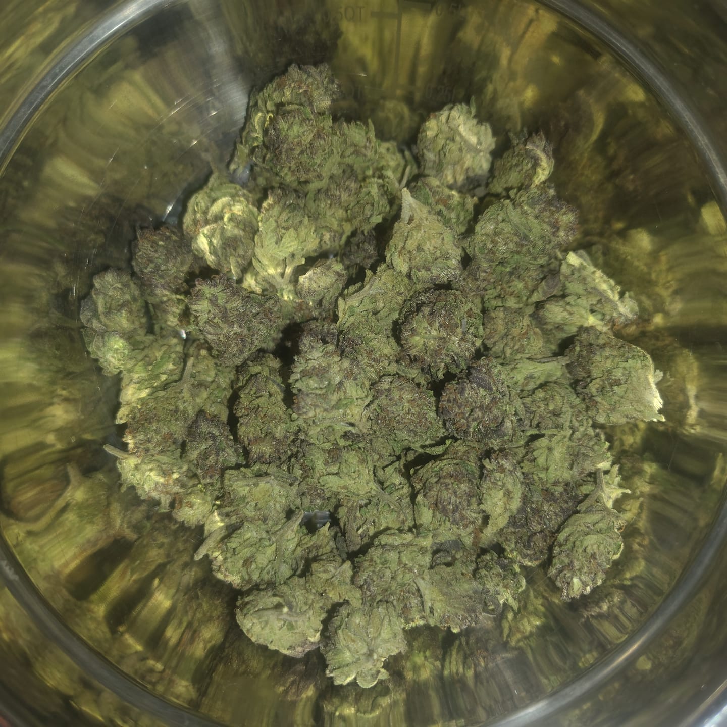 Customer photo review of Snake Venom THCA Flower