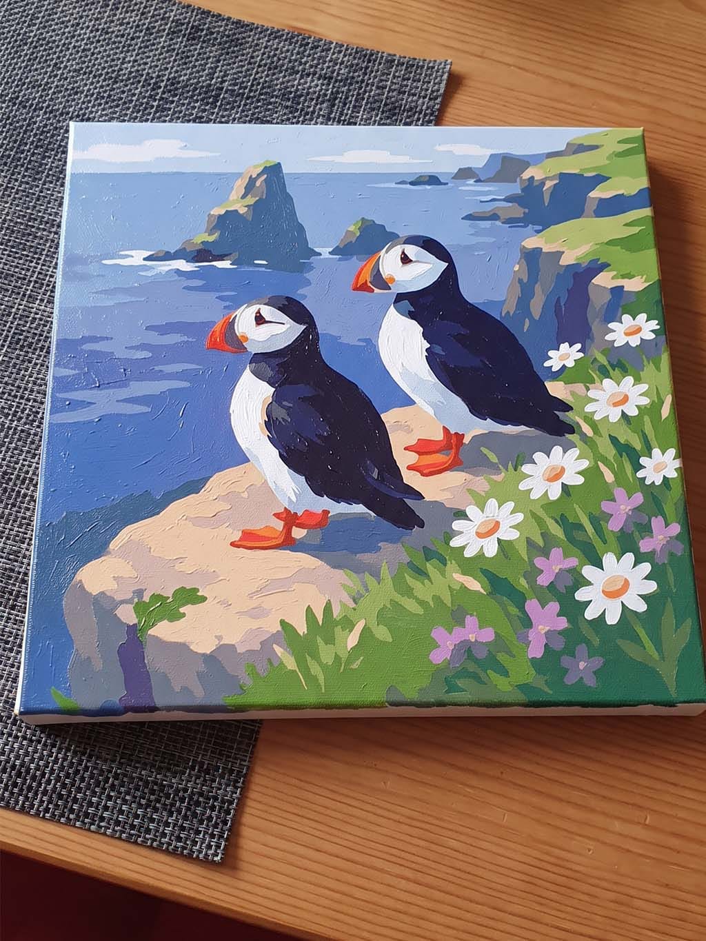 Customer photo review of Mini Peinture par Numéros 20x20cm avec cadre Macareux sur les falaises océaniques