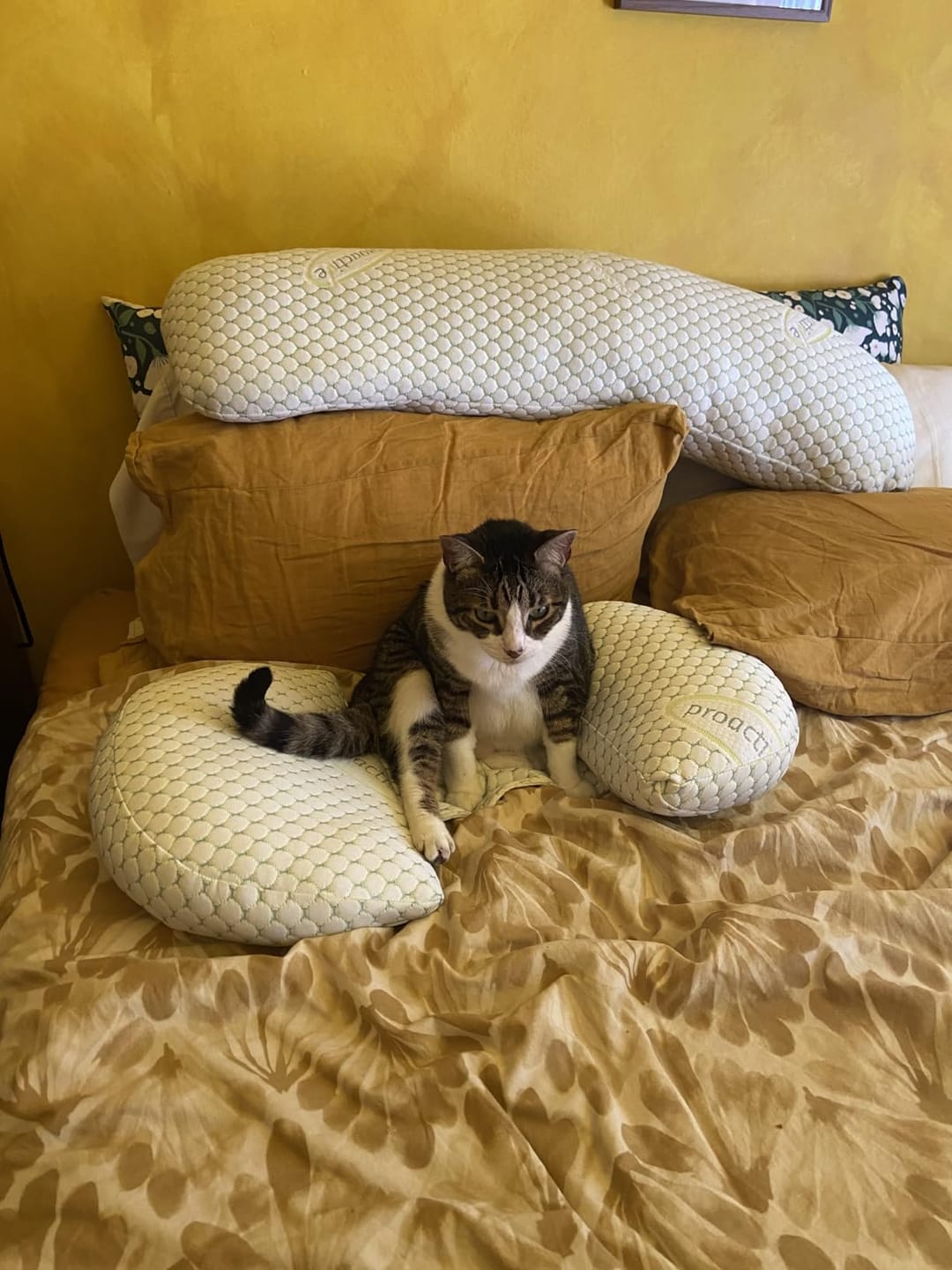 Customer photo review of Pregnancy Pillow - Full Body Maternity Support for Back & Hips