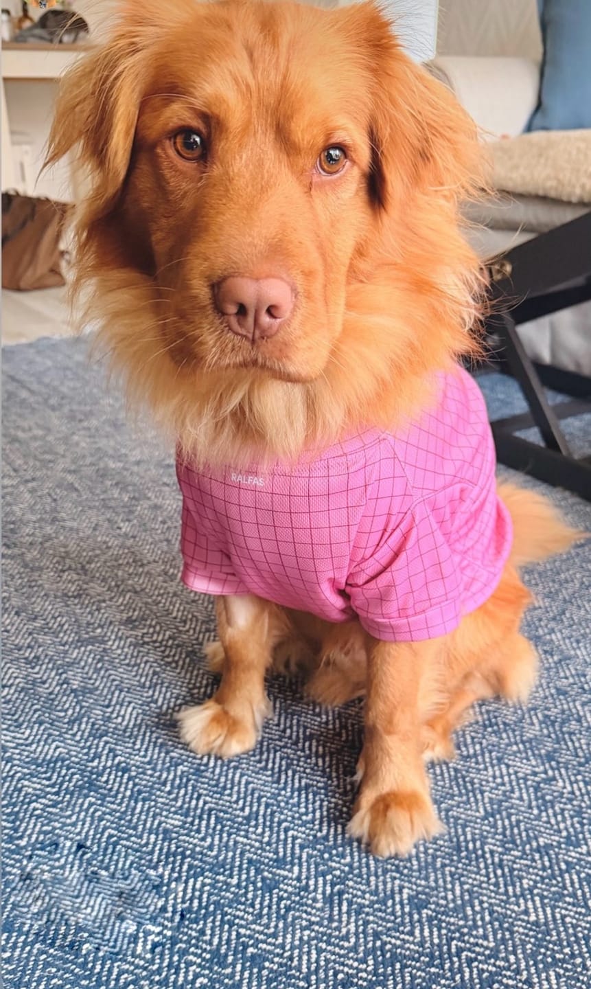 Customer photo review of Polera de Enfriamiento Rosa