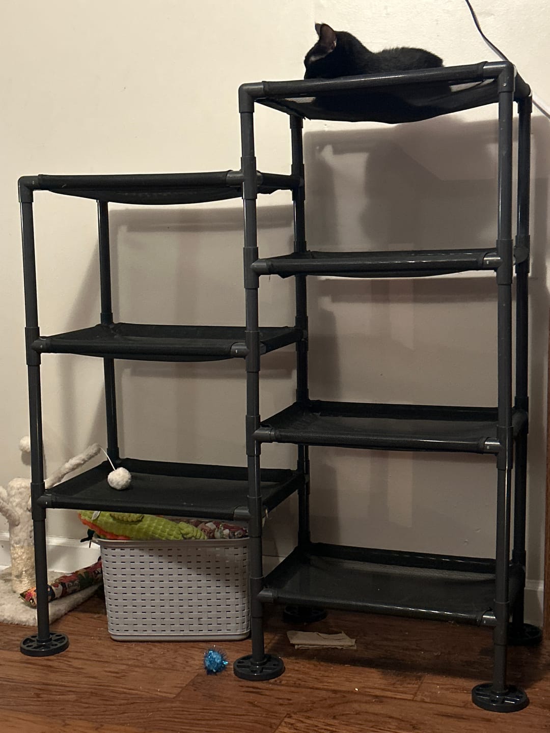 Customer photo review of Cat Tower Anchor Base