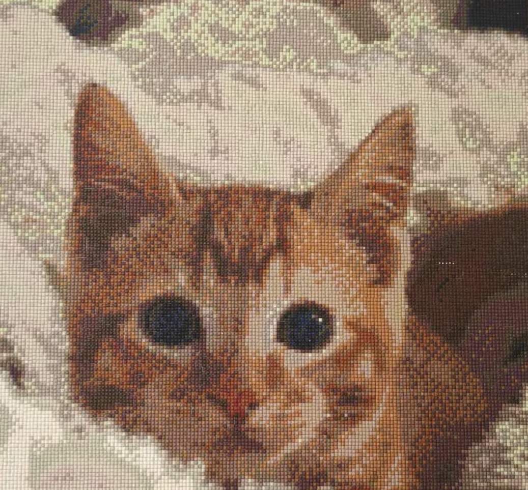 Customer photo review of Custom Diamond Painting Kit - Turn Your Photo Into Sparkling Art
