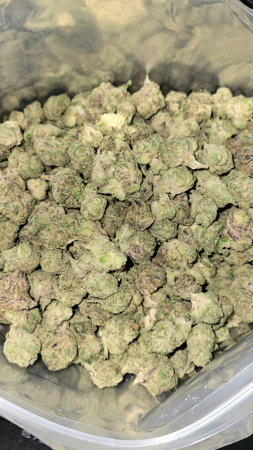 Customer photo review of Bulk Indoor THCA Smalls