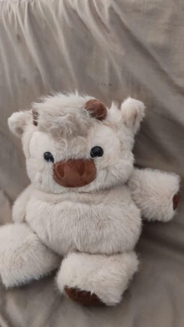 Customer photo review of MooDash BoopJoy – La vaquita de peluche que corre