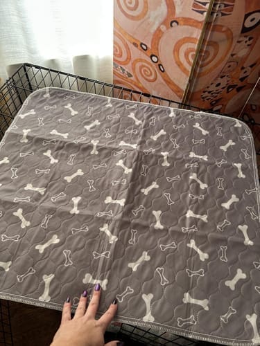 Customer photo review of Mascoly – Empapador lavable con feromonas para perros