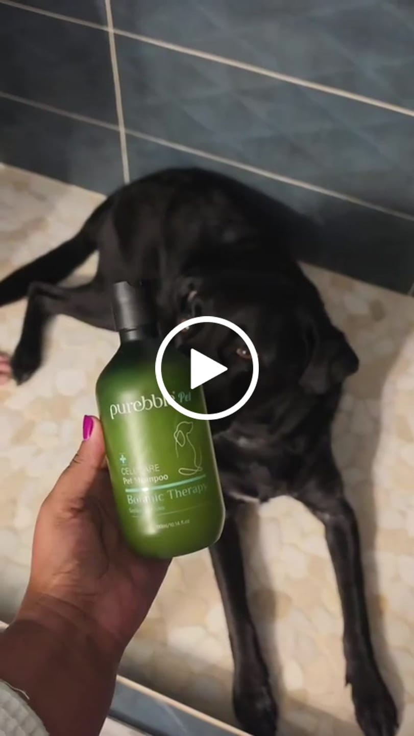Customer video review of Calm Pet Botanic Therapy Shampoo