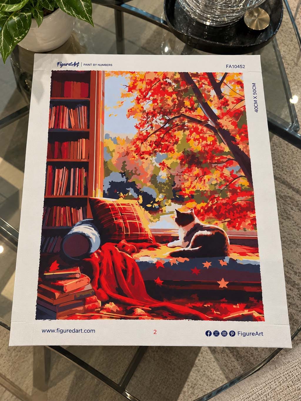 Customer photo review of Vue du Chat en Automne