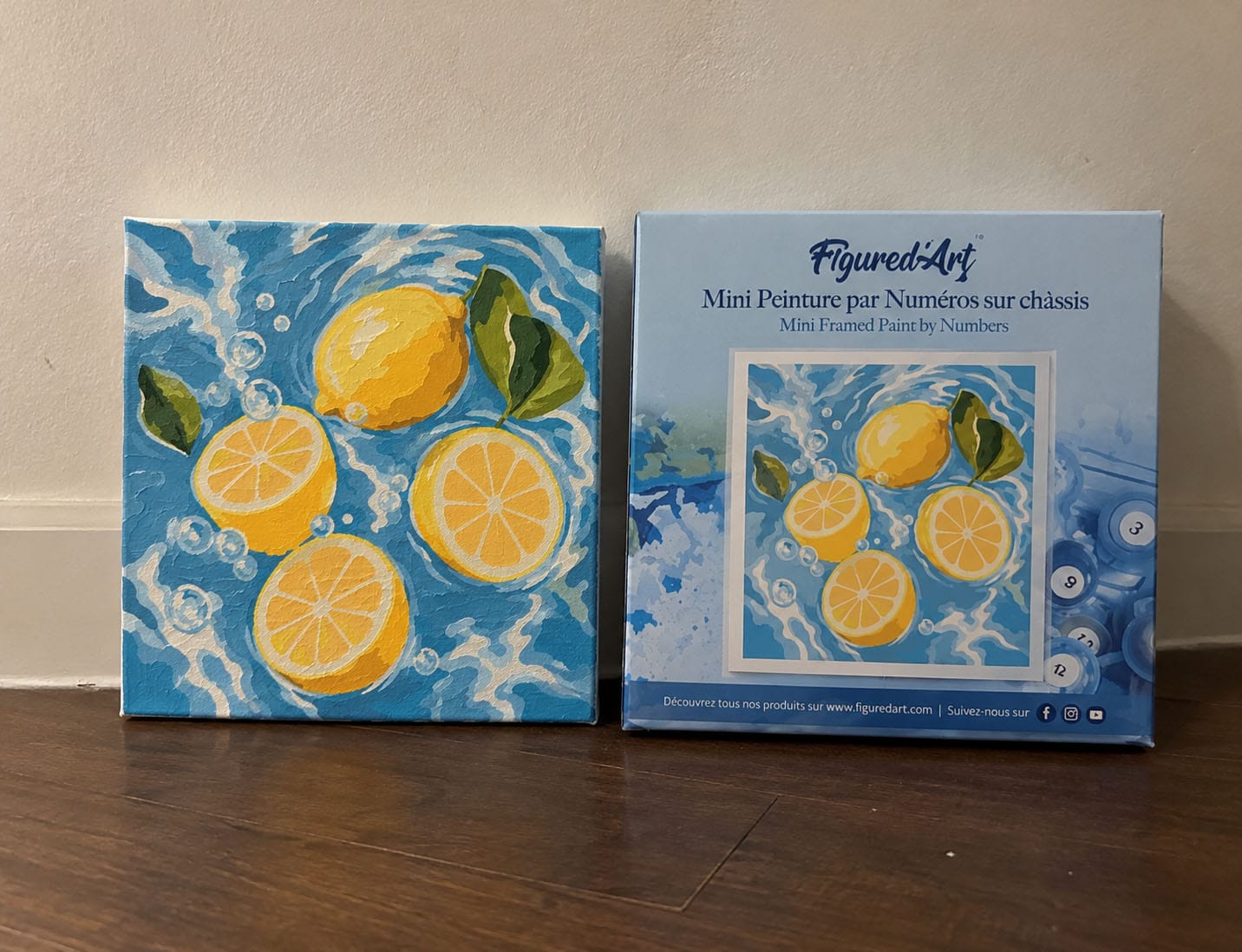 Customer photo review of Mini Peinture par Numéros 20x20cm avec cadre Brise de Citrus