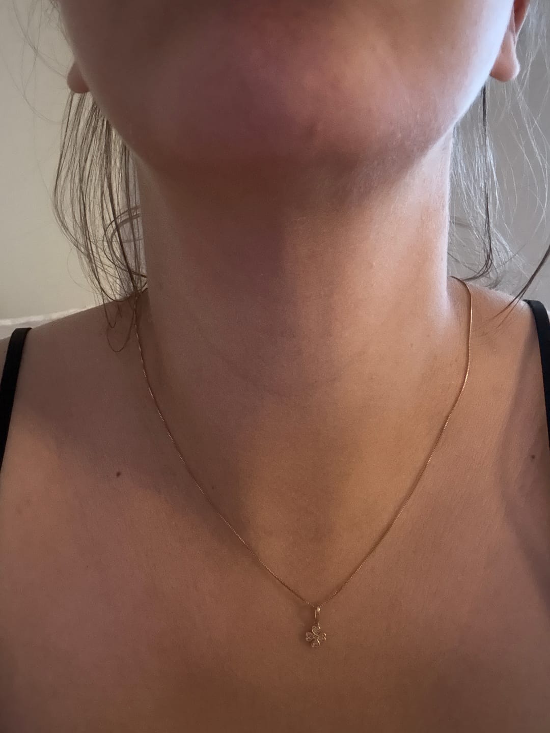 Customer photo review of Silky Sage Talivoide