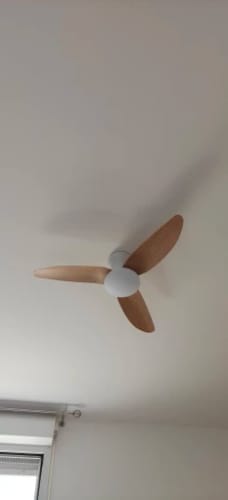 Customer photo review of Asken
