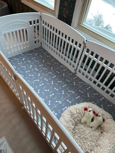 Customer photo review of Mascoly – Empapador lavable con feromonas para perros