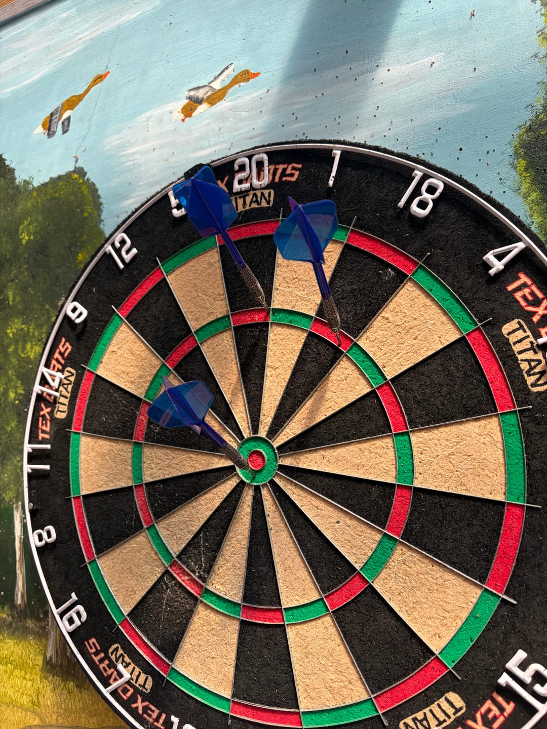 Customer photo review of Target - Swiss Diamond Pro Dart Points - 26mm 30mm 35mm 40mm