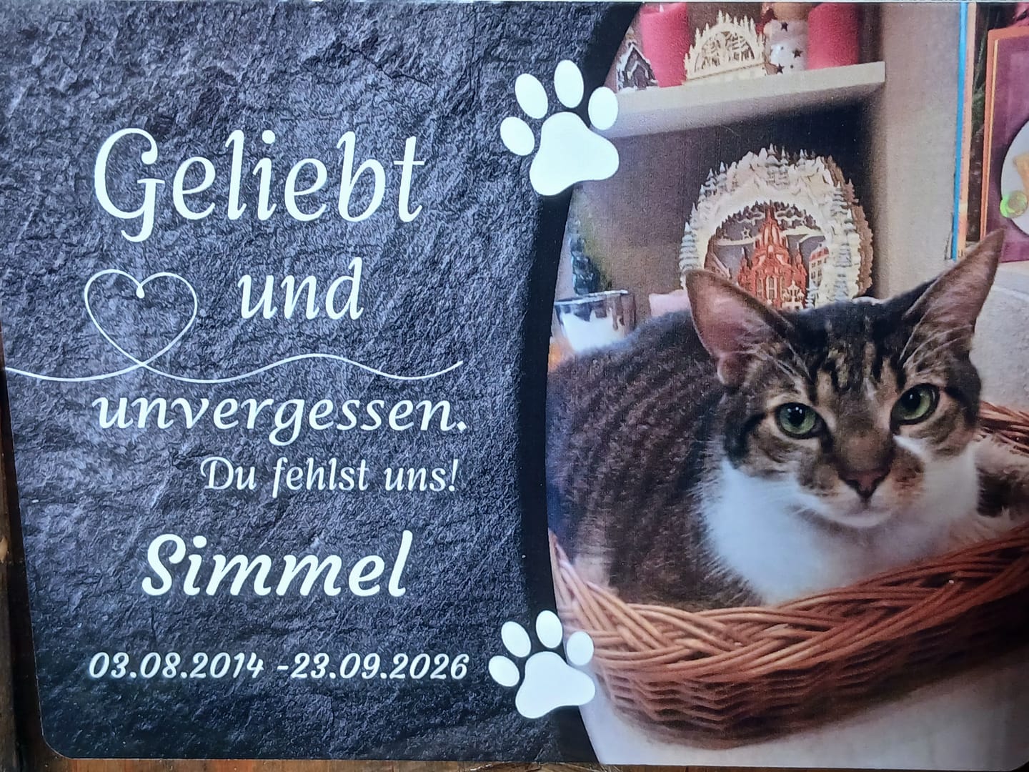 Customer photo review of Hunde Gedenktafel mit Foto & Spruch (UV- & Wetterfest)