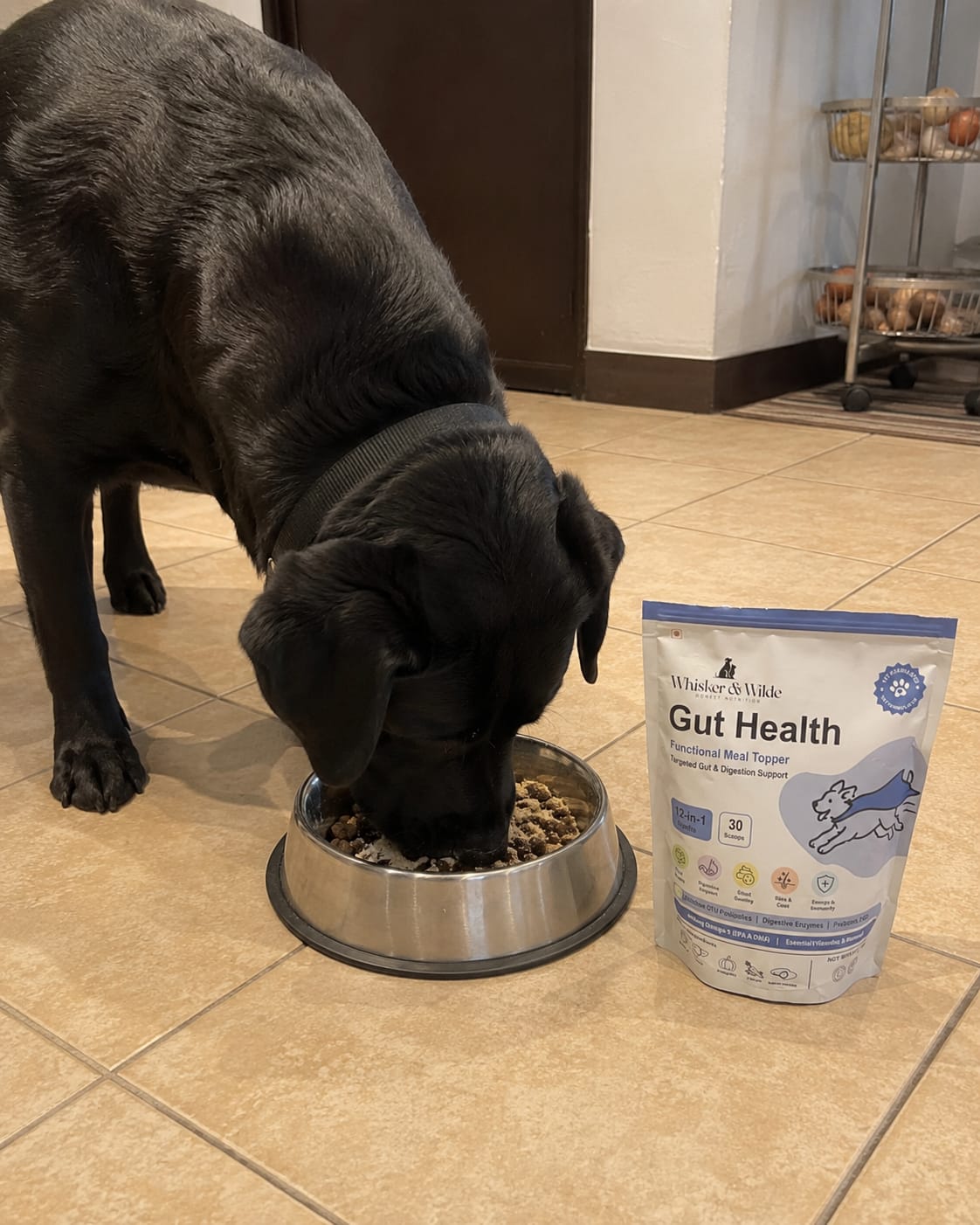 Customer photo review of Gut Health Dog Topper · 6 Billion CFU Probiotics for Loose Stools, Gas & Paw Licking