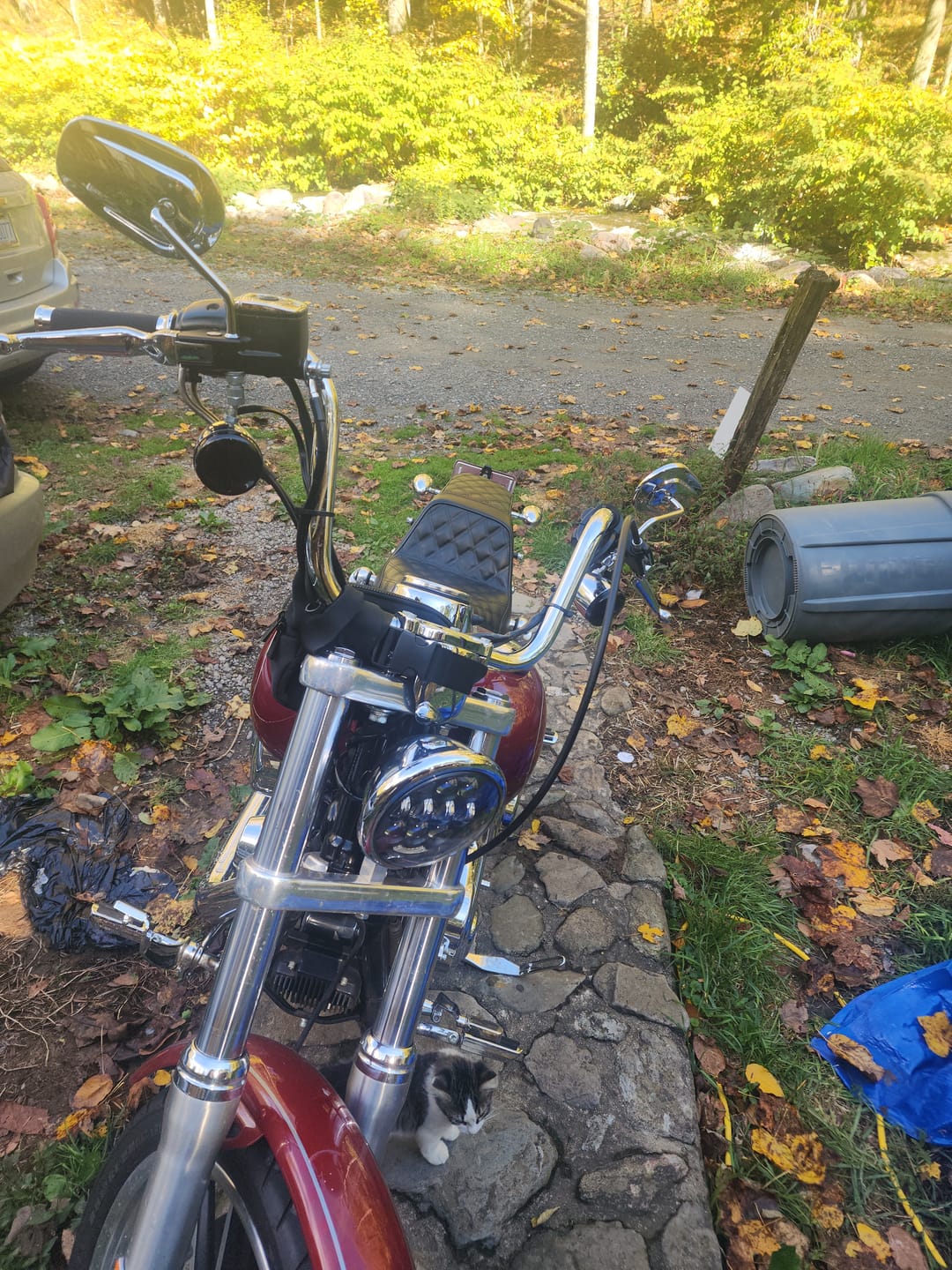 Customer photo review of Iron Born Diamond Stitch 2-Up Seat for Harley Dyna Low Rider FXDL/I Black