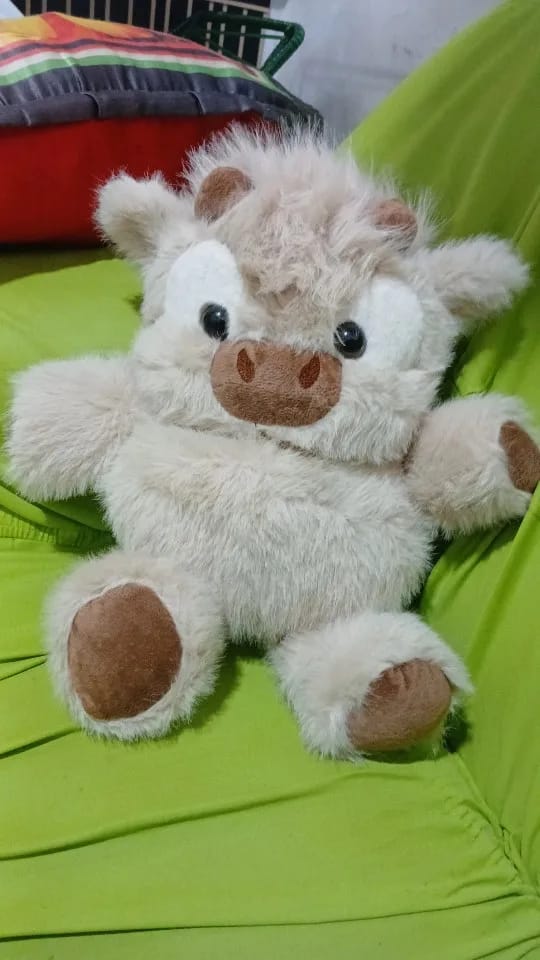 Customer photo review of MooDash BoopJoy – La vaquita de peluche que corre